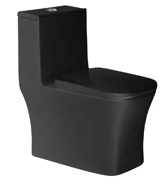 Sanitario Niza Negro