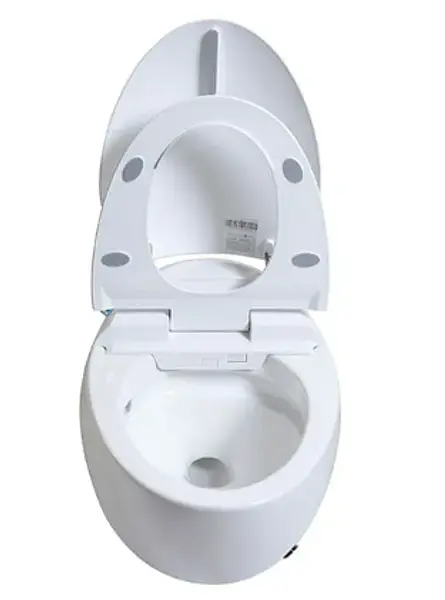 Sanitario Inteligente Osaka