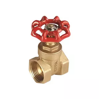 Valvula De Compuerta 1"