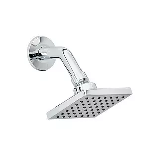 Regadera Con Brazo Grival